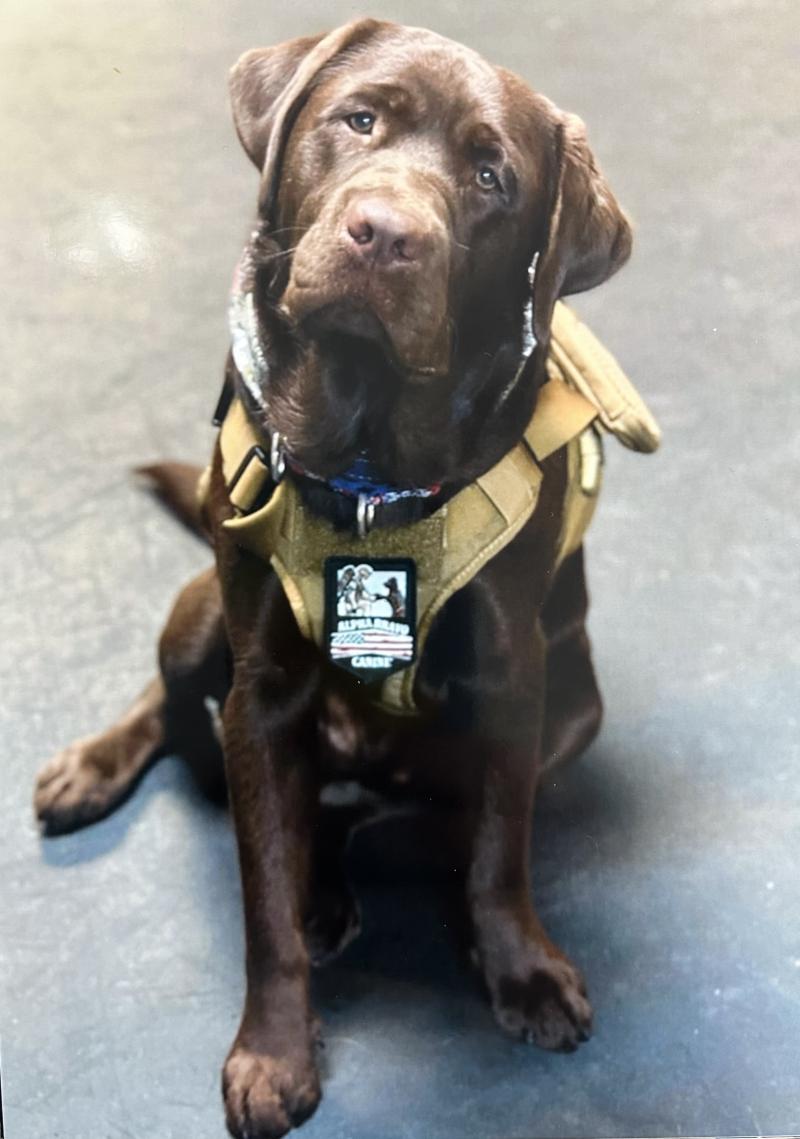 Freeland American Legion Post 473 and Alpha Bravo Canine Legiontown U.S.A.