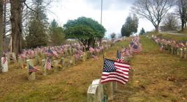 Veteran graves