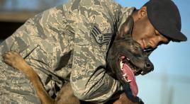 Warrior Pups: True Stories of America's K9 Heroes