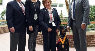 Local Doberman Honored as Lyons VA Hospital’s Therapy Dog of the Year