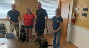 Service dogs for our veterans