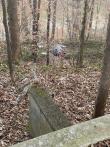 North Georgia veterans participate in HUD annual Homeless Count