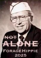 ForageHippie supports Be the One through music