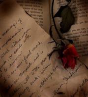 Letters from the Battlefield - Love in War