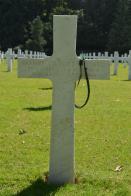 Belleau Wood - David Gilbert Wisted