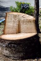 Two vets turn dying tree into small memorial for POW/MIA