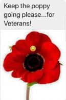 Poppy Day and Flanders Fields 