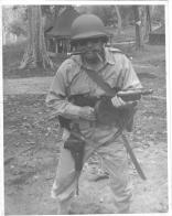 25 Division Artillery, WW II