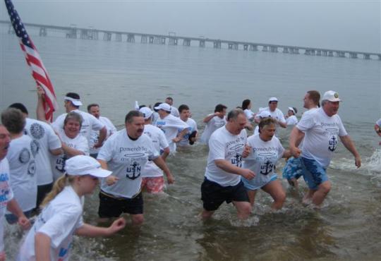 polarbearplunge2011.jpg
