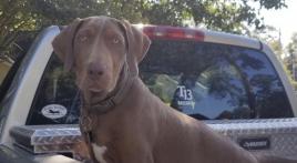 Copper and I are closing in post-COVID