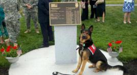 Service Dog Issued in Memory of  Rhode Island Soldier
