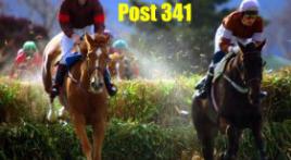 Post 341 Launches New Web Site