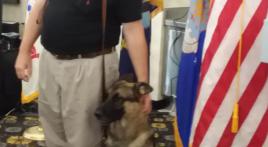 Royal Oak (Mich.) Post 253 helps provide service dog