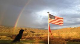My U.S. Flag: Showing the colors 