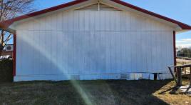 Morning glory mural