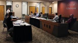 Commander shares success stories with local city council