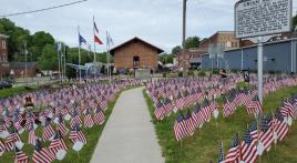 Post 18 (W.Va.) Field of Flags