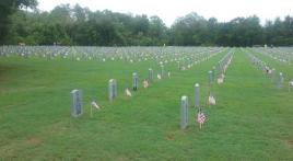 Flags for Veterans