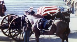 Remembering a legendary horse 