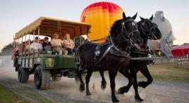 The Warrior Wagon