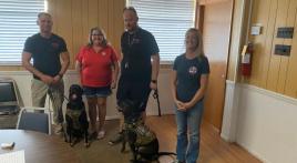 Service dogs for our veterans