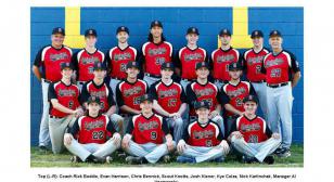 Post 176 baseball team wins district title