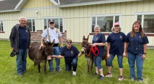 Donkey crew visits