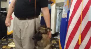 Royal Oak (Mich.) Post 253 helps provide service dog