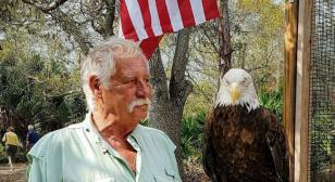Vietnam veteran helps heal other veterans through wounded birds of prey