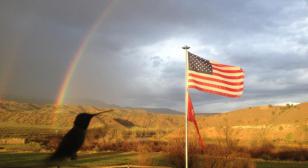 My U.S. Flag: Showing the colors 