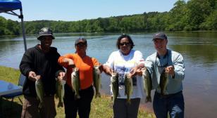 Fishing For Freedom
