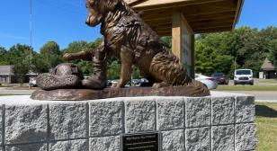 Military working dogs/first responder dogs