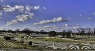 Field of Crosses - Bed of Liberty