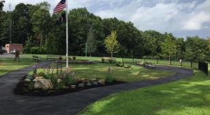 The Healing Garden