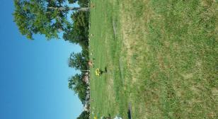 A visit to a grave