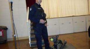Westerville Post 171 "going to dogs"