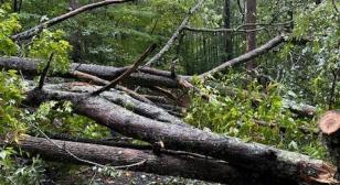 Post 248 Hurricane Helene disaster response
