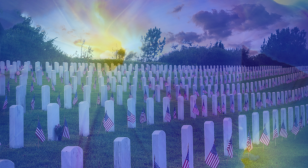 A Blue Star Field for Veterans