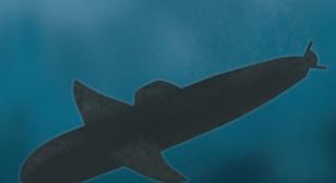 The Voyage of the Stingray