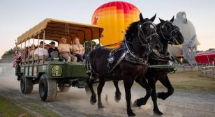 The Warrior Wagon
