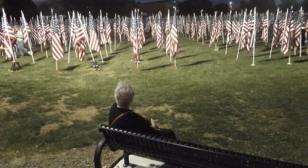 Prescott Valley 9/11 observance, Healing Fields of Flags
